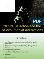 Natural Selection and The Co-Evolution of Interactions