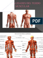 Generalidades Del Tejido Muscular