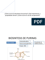 ¿Cómo Ocurre La Biosíntesis de Purinas? ¿Qué Importancia, y Propiedades Tienen? ¿Cómo Ocurre La Vía de Recuperación?