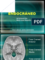 Endocráneo