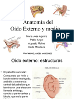 Oido Externo y Medio