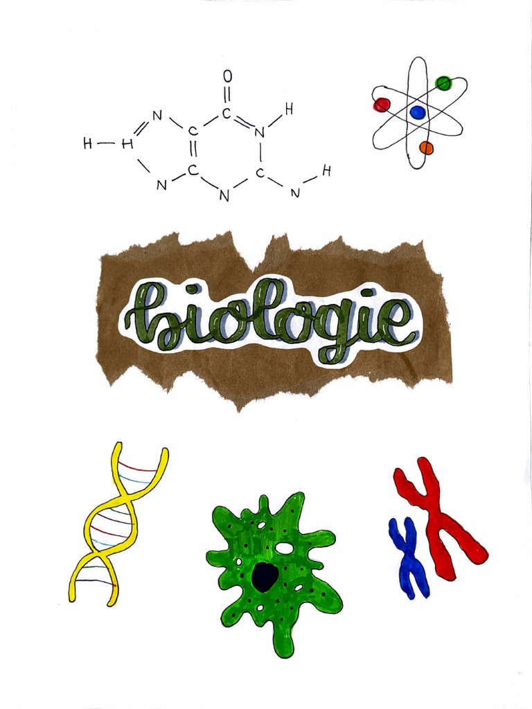 Page De Garde Biologie Biologie | PDF