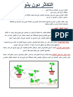 التكاثر دون بذور