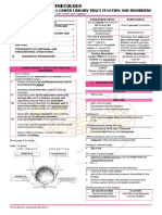 3.1 Lower Urinary Tract Function and Disorders: Pathway As Well As The Somatic Pathway To The