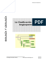 Clasificación de Angiospermas