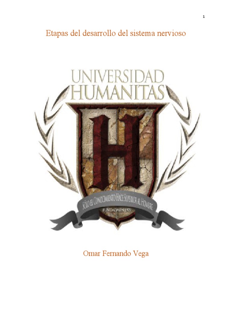 Etapas Del Desarrollo Del Sistema Nervioso PDF Embrión Cerebelo