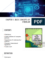 Basic Concepts of Cyberlaw Chapter