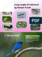 Jenis Burung Langka Di Indonesia Yang Hampir Punah