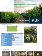 Soluciones Especializadas para La Agricultura: Obtención de Cepas Endémicas de Hongos y Bacterias en Diferentes Cultivos