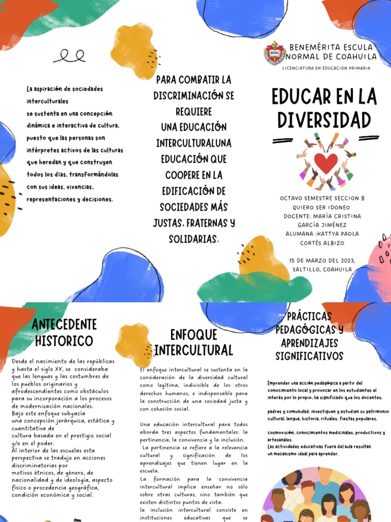 Educar en La Diversidad | PDF | Inclusión (Educación) | Aprendizaje