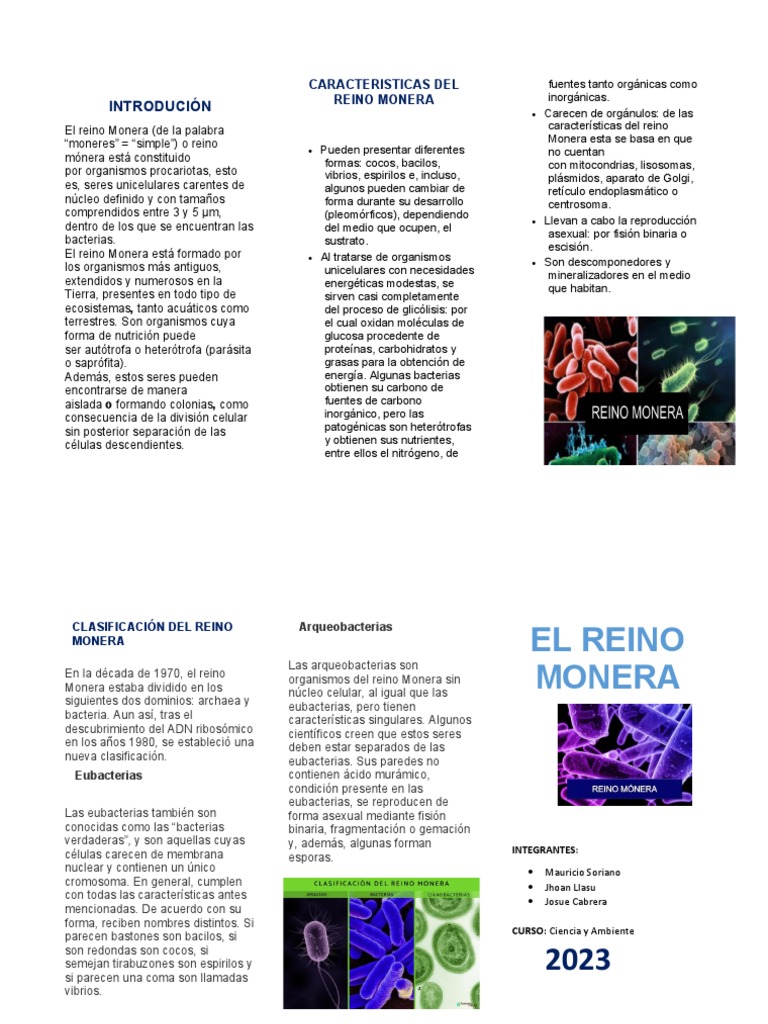 Triptico | PDF | Las bacterias | Archaea