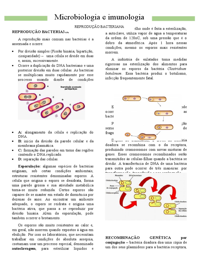 Reprodução Bacteriana | PDF | Bactérias | DNA