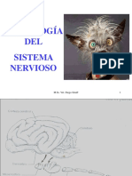 Semiología DEL Sistema Nervioso: M.Sc. Vet. Diego Graiff 1
