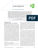 Salivary Gland Development and Disease