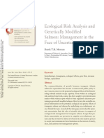 Ecological Risk Analysis and Genetically Modified Salmon: Management in The Face of Uncertainty