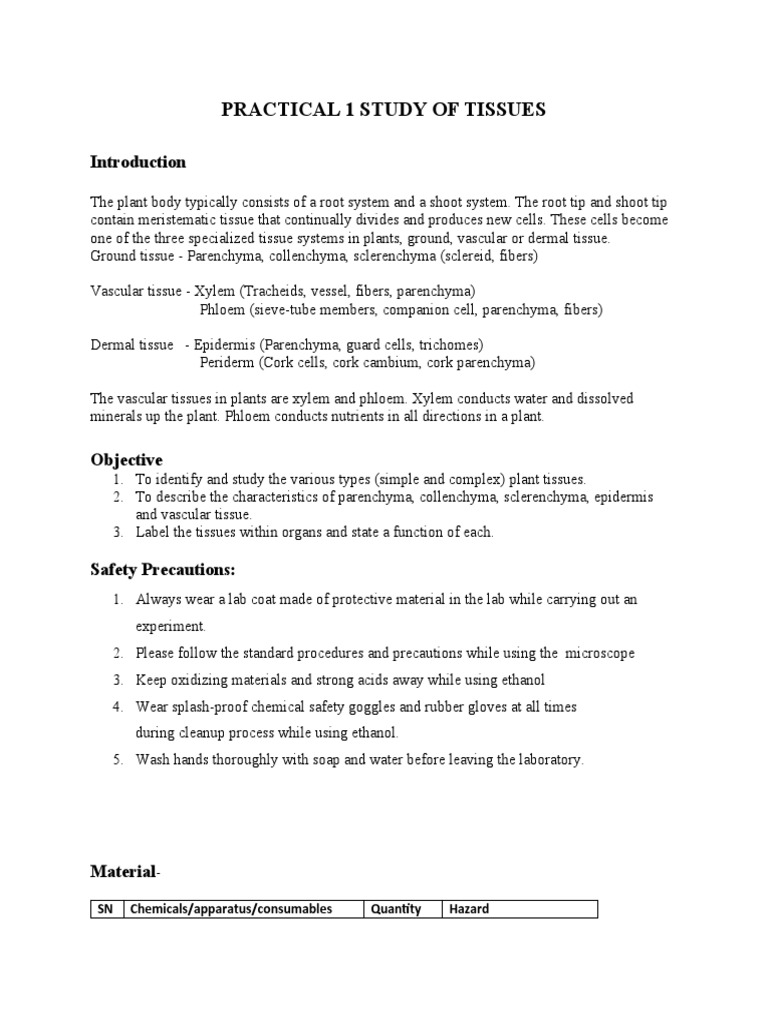 Plant Tissue Study Procedure | PDF | Tissue (Biology) | Plant Stem