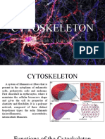 Cytoskeleton: Structure and Functions of the Cellular Network