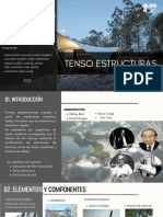 TENSO ESTRUCTURAS - g6