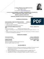 Currículum de Carlos Montes de Oca