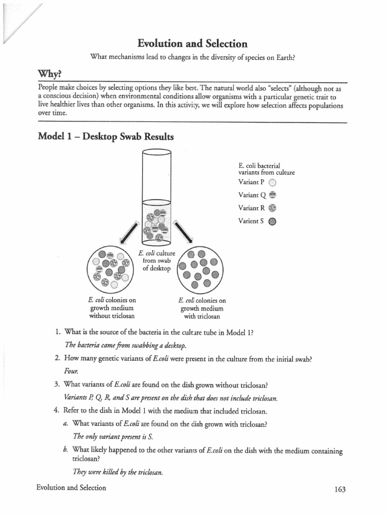 Process Design And Selection Pdf Download