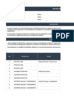 Matriz de Riesgos de La Organización