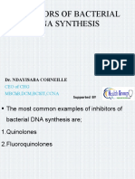 Inhibitors of Bacterial DNA Synthesis