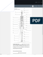 Module 6 Homework Skeleton, Cranium and Feature Labeling