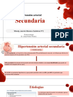 Secundaria: Hipertensión Arterial