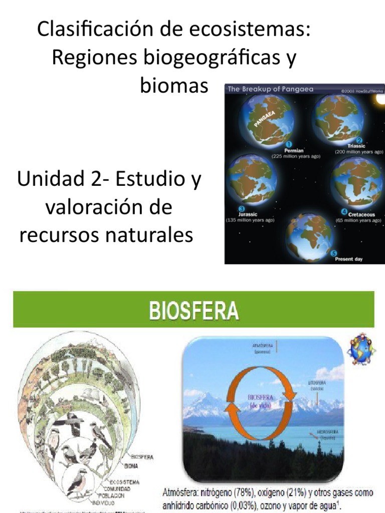 Clasificación de Ecosistemas: Regiones Biogeográficas y Biomas | PDF ...