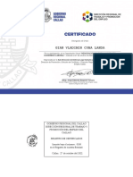 Certificado - Codigo N°-108
