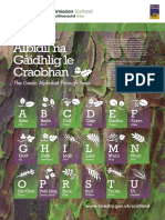 The Gaelic alphabet and tree names guide