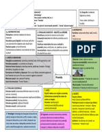 activ integrate Piramida Fisa 1