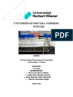 Universidad Privada Norbert Wiener: Histotecnologia Práctica-Grupo B (Hospital) Parasitología - Práctica