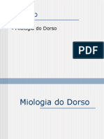 Miologia Dorso - Profundo