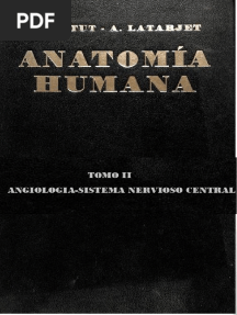 Tratado de Anatomia Humana Testut-Latarjet Tomo II