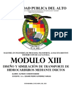 Modulo Xiii: Universidad Publica Del Alto