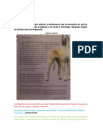 Documento