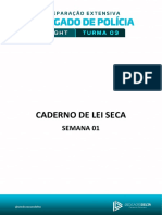 Caderno de Lei Seca: Semana 01