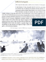 Seguinte Dias, Morteiros, Palhados Pelos Porões, Pelos Patamares e Pelas Escadas. Nossa Frente É Um Corredor Ao Longo