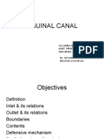 Inguinal Canal: DR - Lubna Nazli