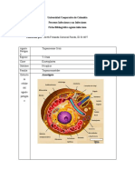 Universidad Cooperativa de Colombia Procesos Infecciosos y No Infecciosos Ficha Bibliográfica Agente Infeccioso