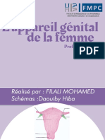 A.génital femme- Filali