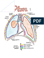 Tarea de Pleura