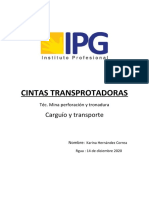 Cintas Transprotadoras: Carguío y Transporte