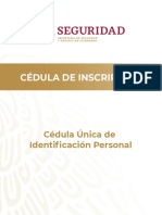 Cedula RNPSP (Formulario) - Salvador Cabrera - PP