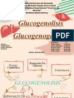 Glucogenolisis Glucogenogénesis