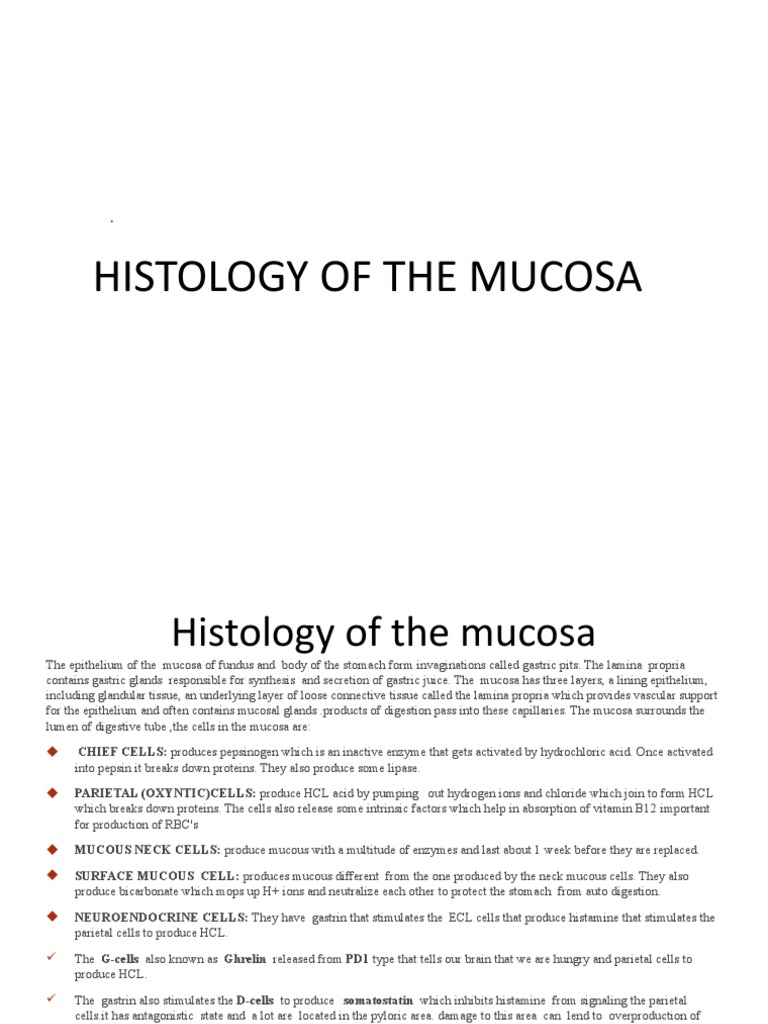 Histology Biology Diagrams