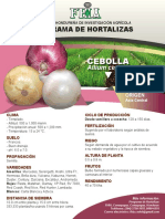 Cebolla: Programa de Hortalizas