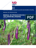 Manual de Produccion de Berenjena Final