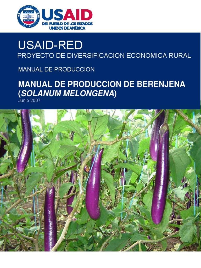 Manual De Produccion De Berenjena Final PDF Berenjena Plaga 